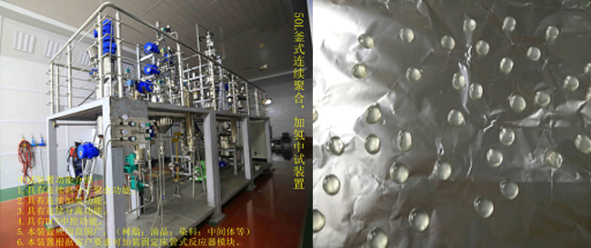 祝賀國(guó)內(nèi)首套釜式連續(xù)加氫中試成套裝置一次出料成功！.jpg